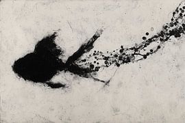 Single Fish Below Surface