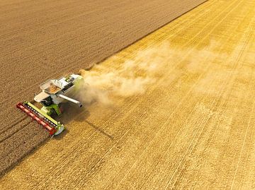 Combaine oogstmachine oogst tarwe in de zomer van bovenaf gezien van Sjoerd van der Wal Fotografie