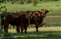 Samen op stap