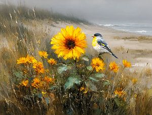 Schafstelze bei Sunflower by the Sea