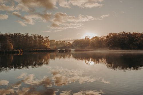 Märchen und nebliger See im regionalen Wald