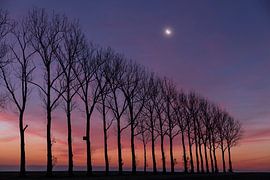 Crescent moon in the morning by Ronny Rohloff