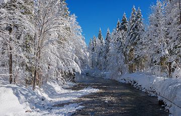 besneeuwd winterlandschap aan de Weissach, bovenbavaria van SusaZoom
