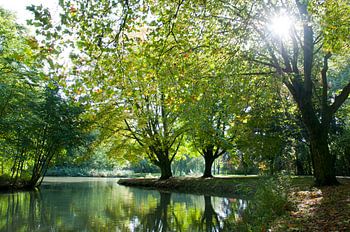 Herfstochtend in het park
