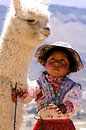 Peruanisches Mädchen mit ihrem Alpaka von Gert-Jan Siesling Miniaturansicht