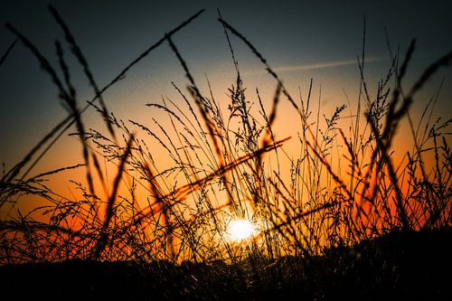 Sonnenaufgang in der Heidelandschaft