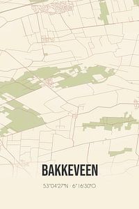 Vintage map of Bakkeveen (Fryslan) by Rezona