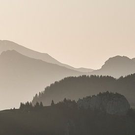 Le Mont de Grange sur Antoine Berger