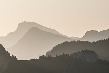 Le Mont de Grange von Antoine Berger