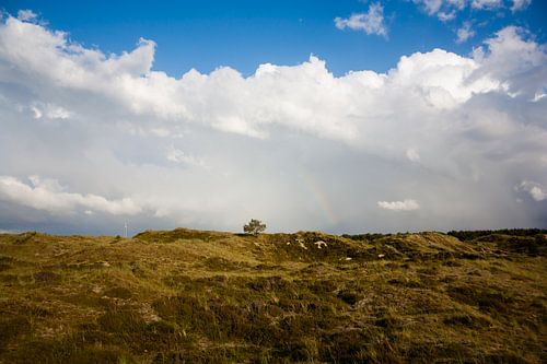 Paysage de Terschelling