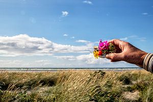 Bloemen Deense kust
