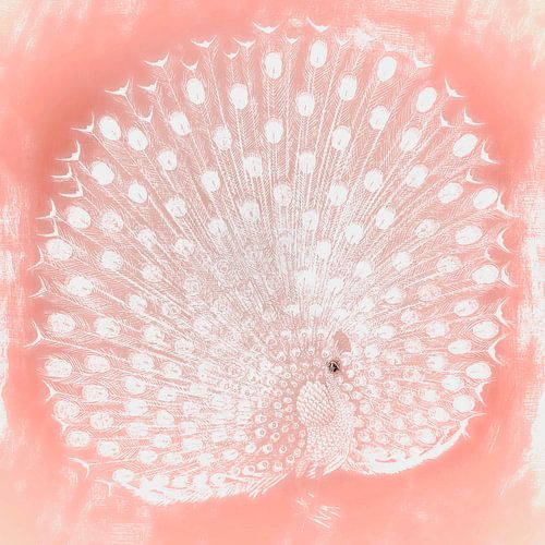 Pauw op roze pastel