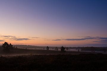 Ochtendmist in Zonhoven van Johan Vanbockryck