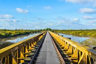 Moerputten brug horizon van Patrick Verhoef thumbnail