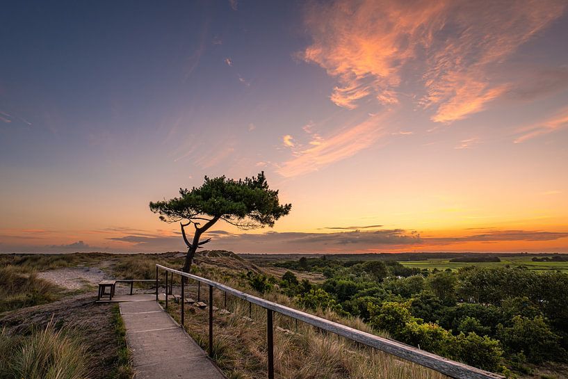 Arbre solitaire par Marco Lok