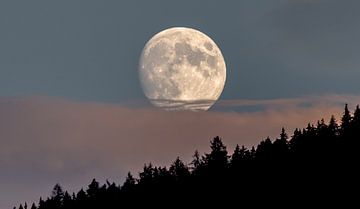 Vollmond in den Bergen von René van Leeuwen