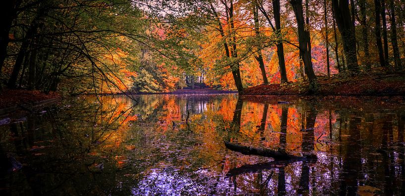 Spiegelmeer van peterheinspictures