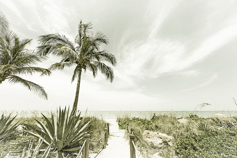 Alone at the beach | Vintage by Melanie Viola