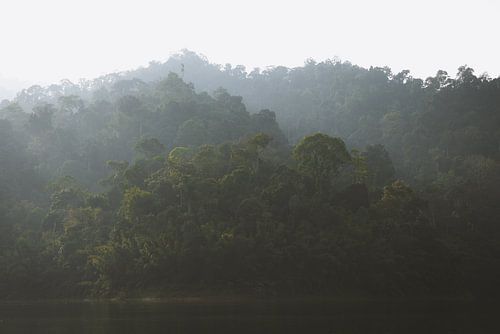 Mystieke Vibe van Cheow Lan Lake: Een Betoverende Ervaring