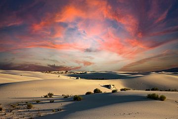 White Sands National Park New Mexico van Gert Hilbink