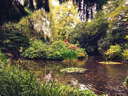 Dream Place in Exeter, a pond of the senses
