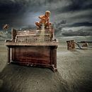 Piano Boy van Juliën van de Hoef thumbnail