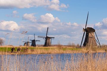 Kinderdijk Netherlands van Brian Morgan