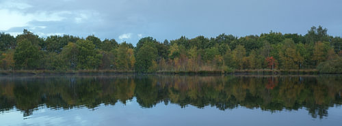 Holtingerveld - Drenthe (Pays-Bas)