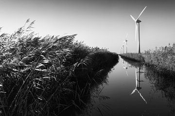 Flevoland, klei en windmolens van Arthur van Iterson