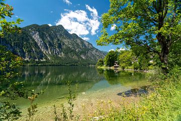 Hallstätter See  Österreich von Peter Schickert