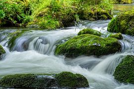 Fluss im Triebtal Vogtland Cascade Natur 03 von Animaflora PicsStock