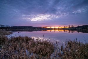 Rodder Maar, Osteifel, Rheinland-Pfalz, Deutschland