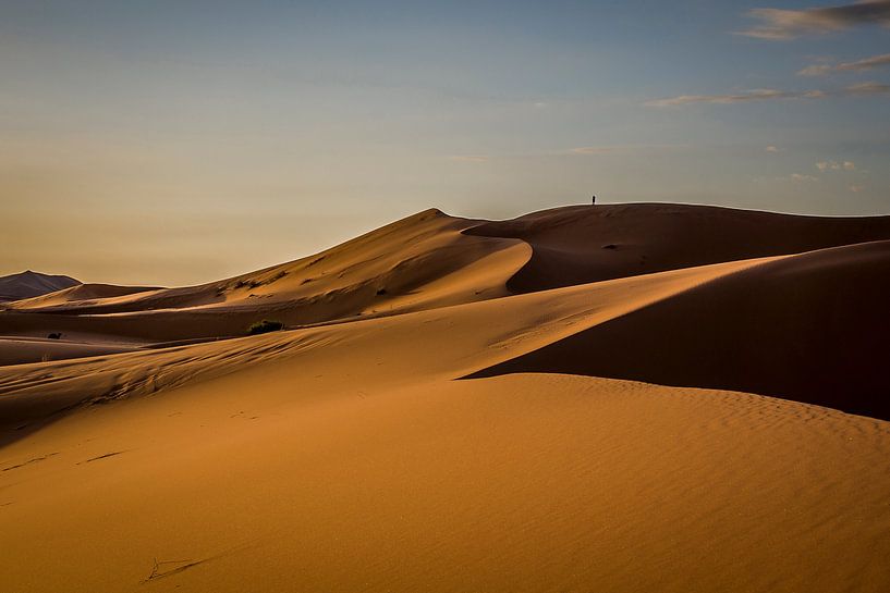 Morning sun in the desert by Peter Vruggink