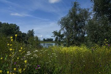 Plas bij Palmerswaard 03 von Cilia Brandts