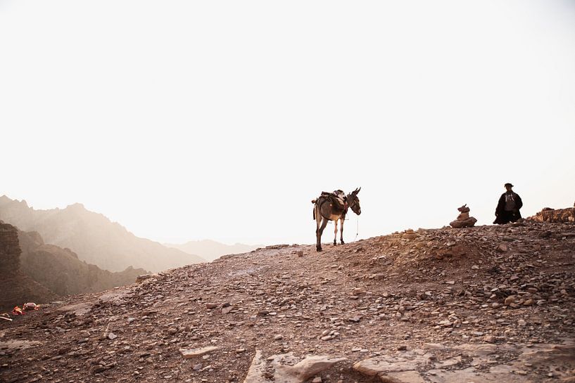 Donkey with the bedouin by Dayenne van Peperstraten