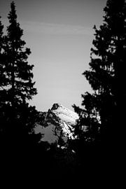 Loin von Thomas Ruiz