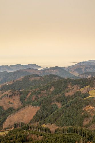 Op verkenning in het mooie Zwarte Woud bij Oppenau