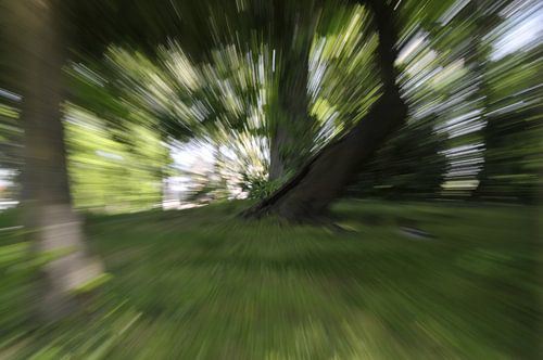 Eerste licht maar dan met een grafische tint