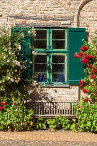 Altes Fenster mit Sommerblumen an einer Historischen Hausfassade Bei der Nikolaikirche, Rostock, Mec
