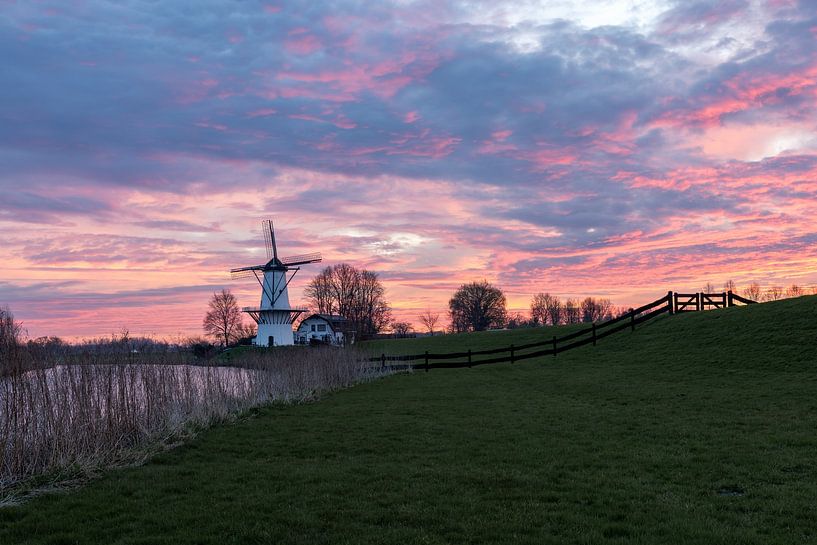 Windmolen De Vlinder van Marco Almodova