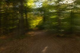 Herbstfarben kreativ