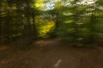 Herbstfarben kreativ