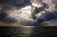 Hemels licht van Bob Bleeker thumbnail
