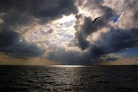 Himmlisches Licht