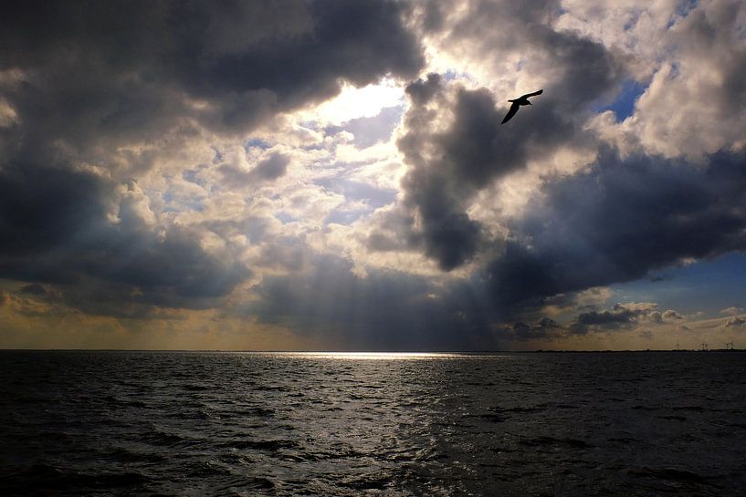 Hemels licht van Bob Bleeker