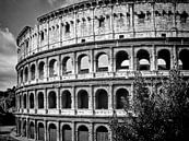 ROME Colosseum  van Melanie Viola thumbnail