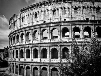 ROME Colosseum 