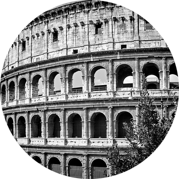 ROME Colosseum  van Melanie Viola