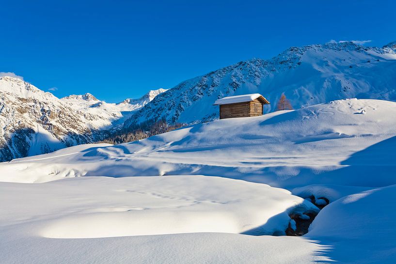 Hut in Arosa in Zwitserland van Werner Dieterich