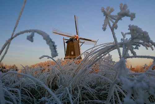 Molen / Mill